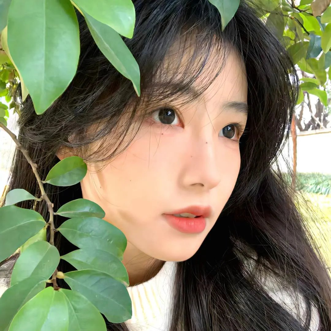 圣所镇：女巫传说